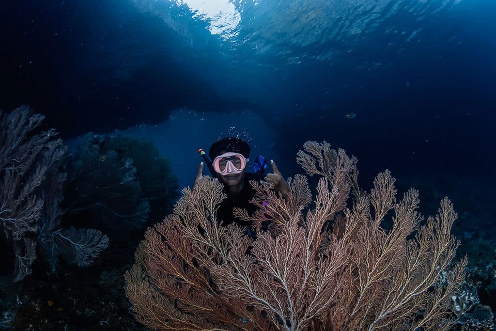 Menyelam Raja Ampat dari Amaya Explorer